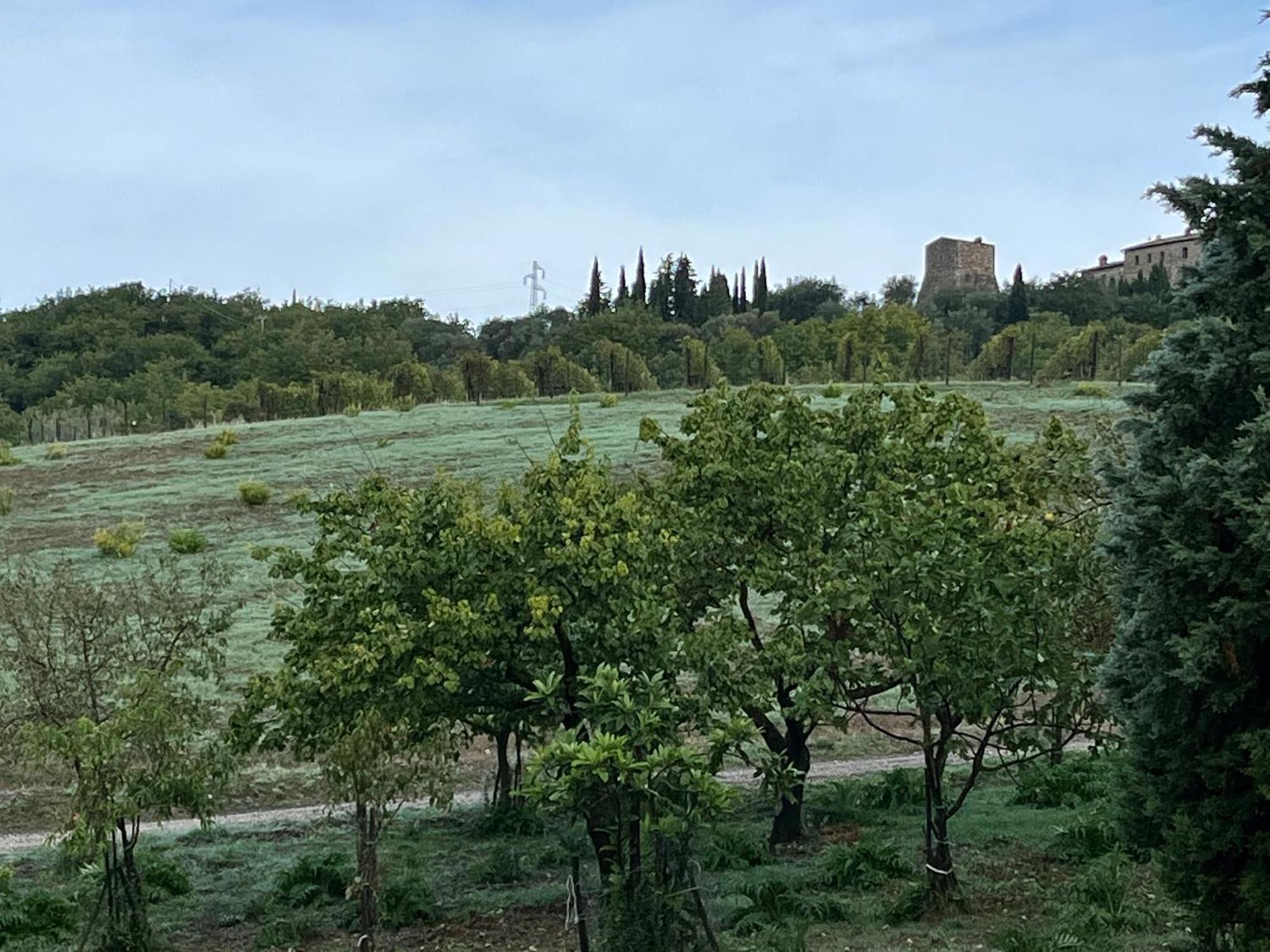 Agriturismo Le Querciole In Val D'Orcia Bagno Vignoni Ngoại thất bức ảnh
