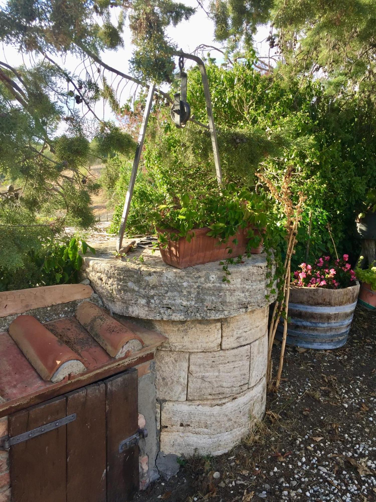 Agriturismo Le Querciole In Val D'Orcia Bagno Vignoni Ngoại thất bức ảnh