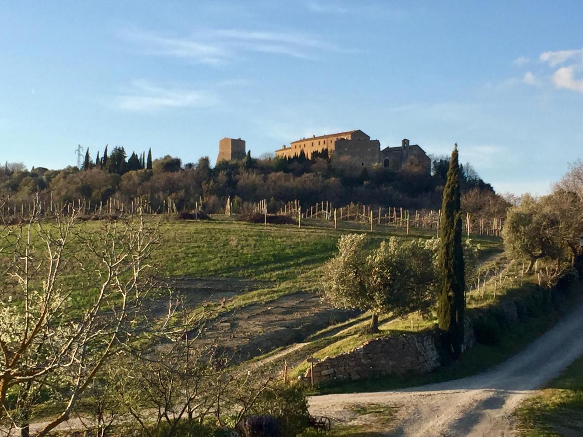 Agriturismo Le Querciole In Val D'Orcia Bagno Vignoni Ngoại thất bức ảnh