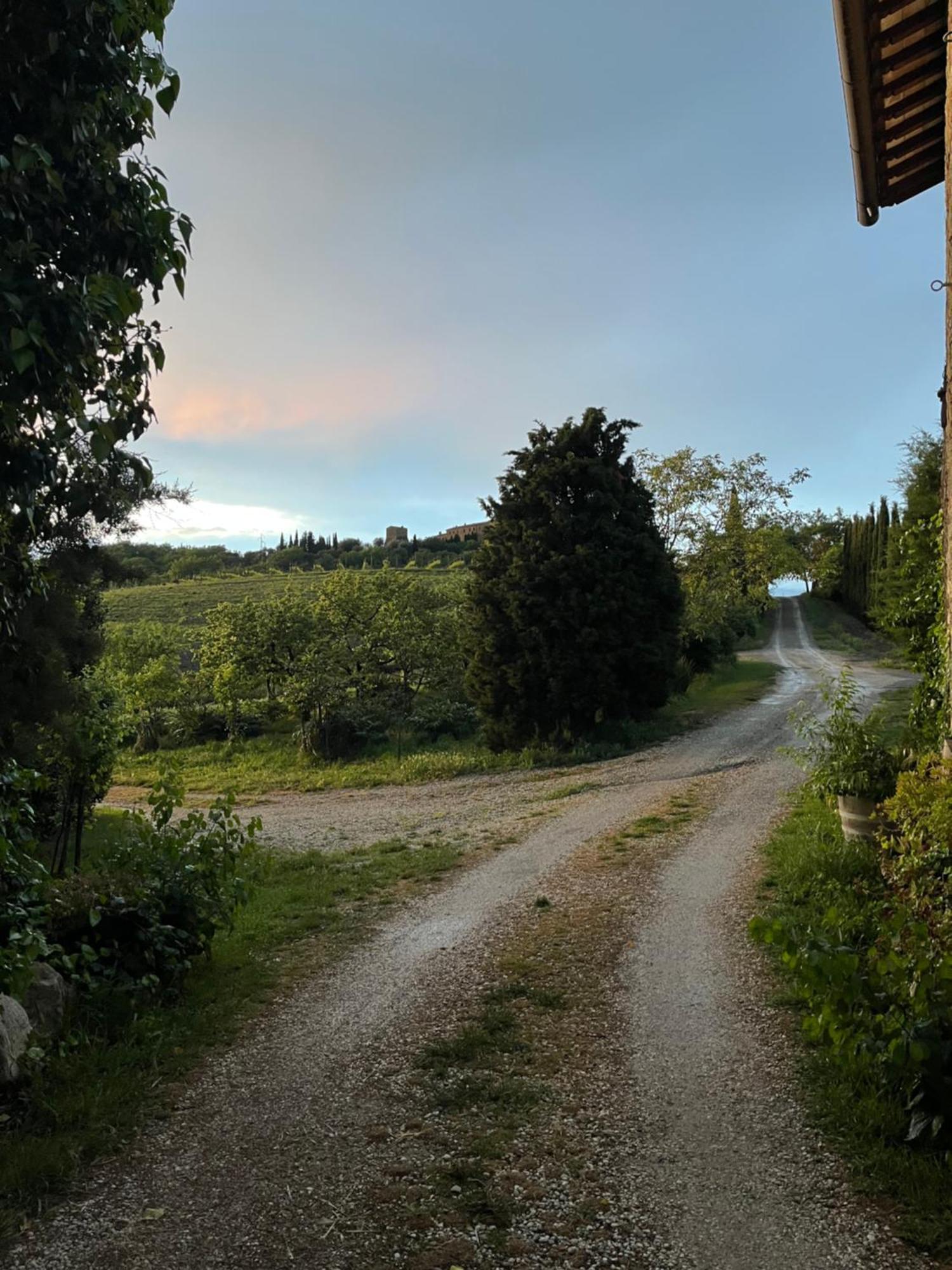 Agriturismo Le Querciole In Val D'Orcia Bagno Vignoni Ngoại thất bức ảnh