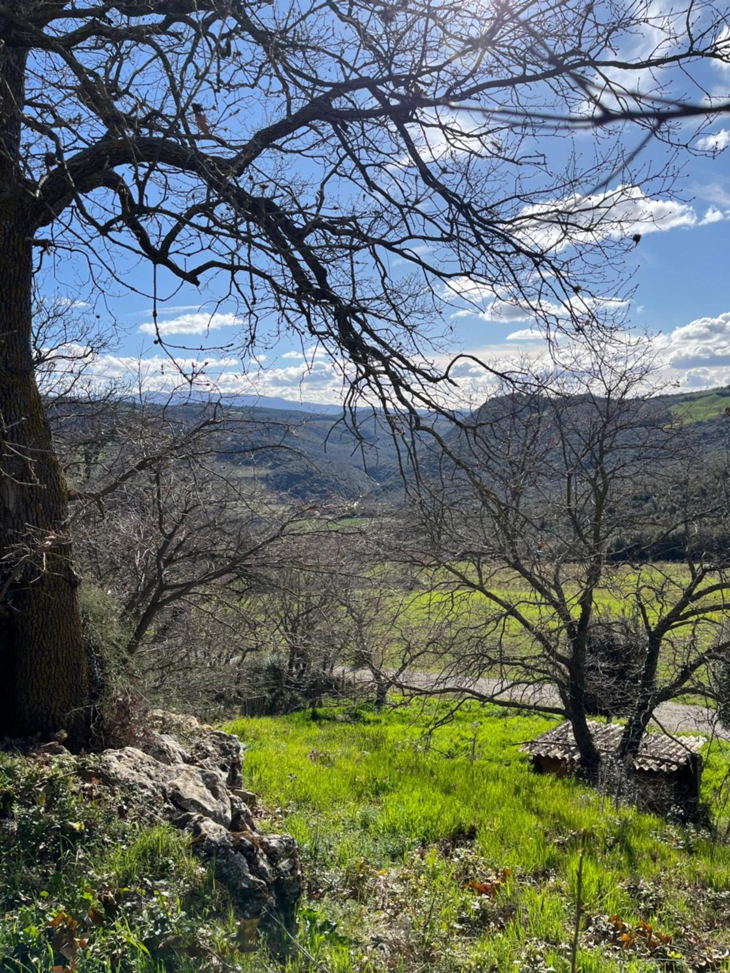 Agriturismo Le Querciole In Val D'Orcia Bagno Vignoni Ngoại thất bức ảnh